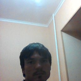 ���, ���������, 38 ���