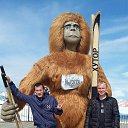 ���� ������, �����, 39 ��� - ��������� 10 ������� 2017 � ������ ���� ����������