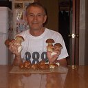 ���� ���������, ������, 61 ��� - ��������� 27 ��� 2017 � ������ ���� ����������