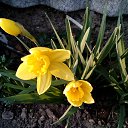 ���� �������, ������, 58 ��� - ��������� 29 ������ 2017 � ������ ���������� �����