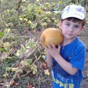 ���� �����, �����������, 52 ���� - ��������� 11 �������� 2017 � ������ �������� �������