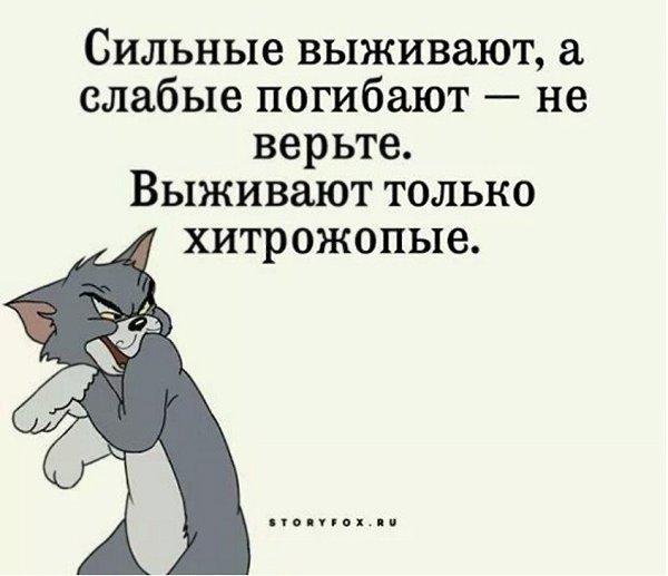 ,   ,    - 6  2017  19:45