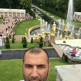 ���� �����, �����-���������, 44 ���� - ��������� 12 �������� 2017