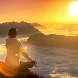 �����, ������, 55 ���