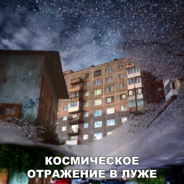    :D - 4  2017  03:13