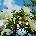 9.06.2017 �� ������� �� ��� - ��������!!!)))�