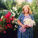 ���� �����, ������, 64 ���� - ��������� 26 ������� 2017 � ������ ������ ��������