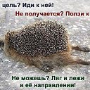 ���� �����, ���������, 44 ���� - ��������� 6 ������� 2017 � ������ ������ ��������