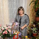 ���� ������, ��������, 58 ��� - ��������� 24 ������� 2017 � ������ ���� ����������