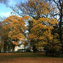  , - -  14  2017      .