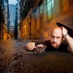 ���� ����, �����-���������, 55 ��� - ��������� 5 ���� 2017