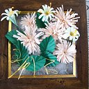  , -, 78  -  31  2017    