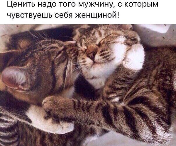       - 3  2017  13:02