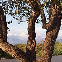 ���� Vladimir, �����-���������, 71 ��� - ��������� 22 �������� 2017 � ������ ���� ����������