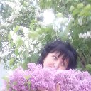 ���� �����, �������-����������, 55 ��� - ��������� 20 ���� 2017