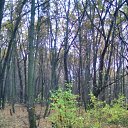 ���� �������, �������� - ��������� 23 ������� 2017 � ������ ������ ��������