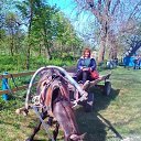 ���� �������, ����������, 69 ��� - ��������� 29 ���� 2017