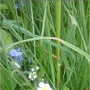  , -, 53  -  10  2017    