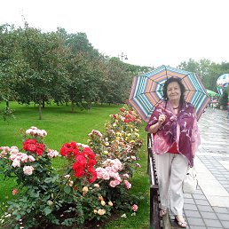 ���� ������, �����-���������, 79 ��� - ��������� 6 ������� 2017