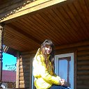  , -, 55  -  28  2017    2017