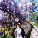 ���� ������, �����, 59 ��� - ��������� 2 ��� 2017 � ������ ���� ����������