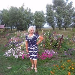 ����, �������, 76 ���