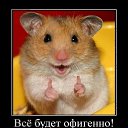 ���� ������, ����������, 42 ���� - ��������� 5 ��� 2017