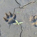  , , 69  -  6  2017    .  864 . 2017.