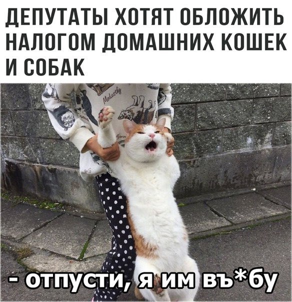  - 16  2017  11:20