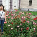 18.06.2017�. ������ �� ������� ��������