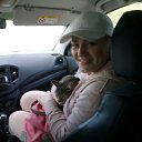 ���� ��������, ������ - ��������� 12 ��� 2017 � ������ ���� ����������