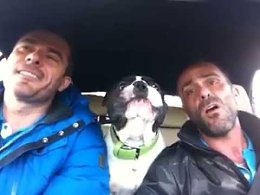 ��� ����� ������ ���� � ������. � ��� �� ������� ������ ������ �����...