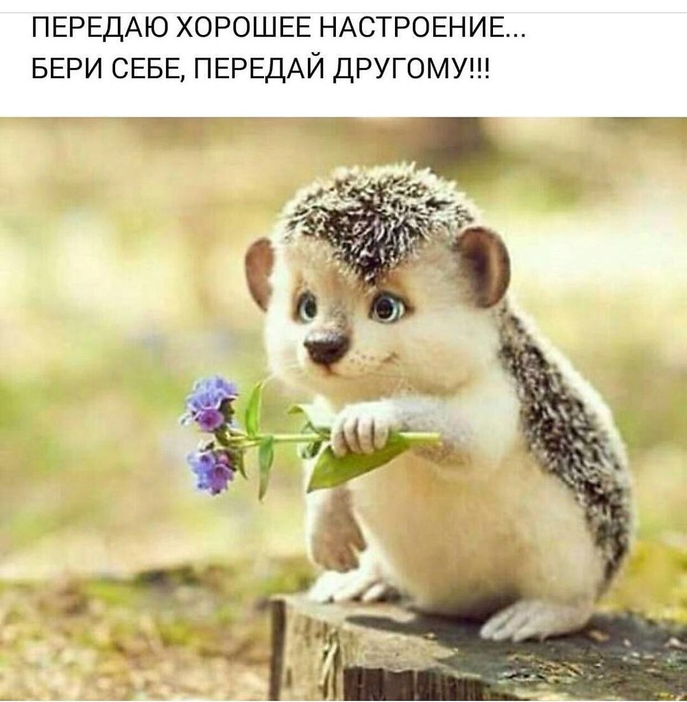     - 3  2017  06:09