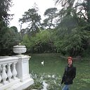 ���� ��������, ������ - ��������� 3 ��� 2017 � ������ ������ ��������