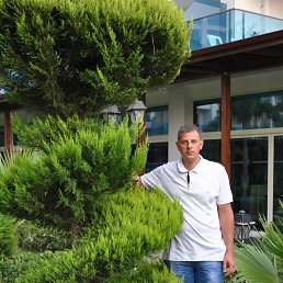 �����, ������, 39 ���