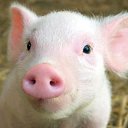 ���� Hrun, ��������� - ��������� 1 ���� 2017 � ������ ���� ����������