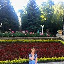 ���� �������, ����������, 53 ���� - ��������� 12 ���� 2017 � ������ ���� ����������