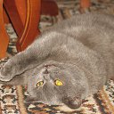 ���� Oleg, ������, 53 ���� - ��������� 14 ���� 2017 � ������ ���� ��� �� �������� ��������