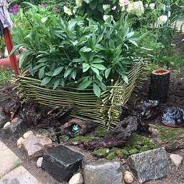 �����, ������, 47 ���