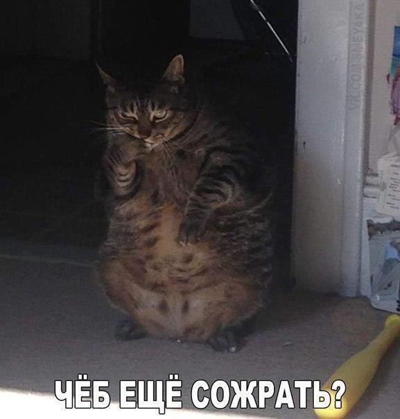 ��� �������� �������� - 4 ��� 2017 � 21:17