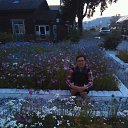 ���� ����, ��������� - ��������� 7 ������� 2017 � ������ ���� ����������