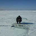 ���� ���������, ����, 53 ���� - ��������� 24 ������ 2017 � ������ ���� ����������