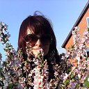 ���� �������, ���������, 61 ��� - ��������� 10 ������ 2017 � ������ ���� ����������