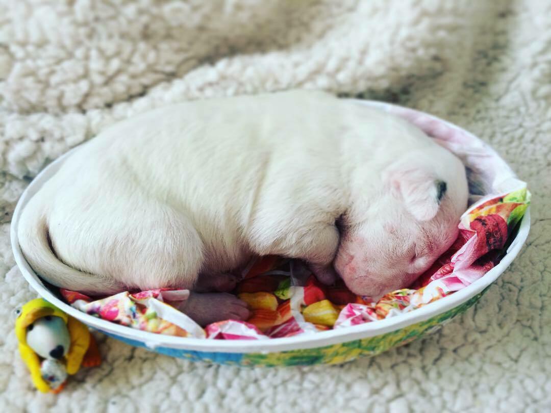 Не забывайте, интернет общение часто скрадывает истинные эмоции и посылы, не ругайтесь и не ...