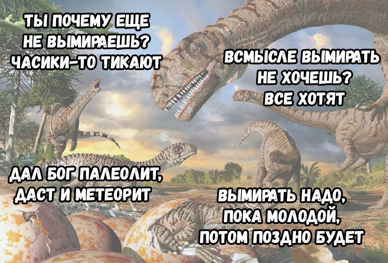    - 28  2017  17:16