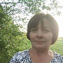 ���� ���, ����� - ��������� 13 ���� 2017 � ������ ���� ����������