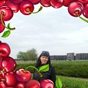 ���� ������, ���������, 49 ��� - ��������� 18 ������� 2017 � ������ ���� ����������