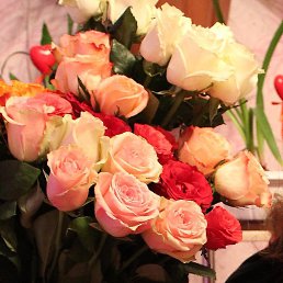 ��������, ����������