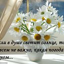 ���� ���, ����������� - ��������� 4 ��� 2017 � ������ ������ ��������