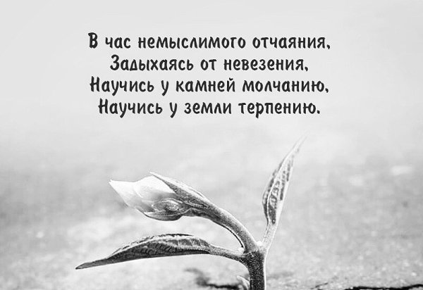   - 25  2017  07:57